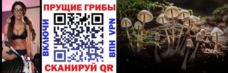 Псилоцибиновые грибы Magic Shrooms  цена   Называевск 