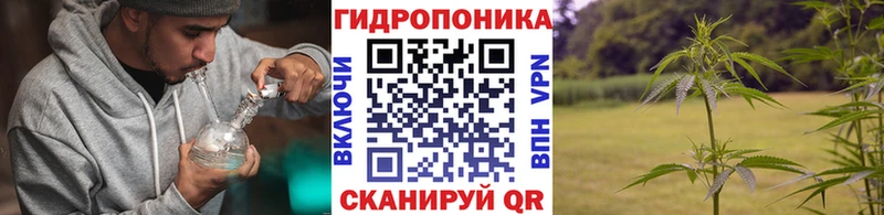 Каннабис White Widow  Называевск 